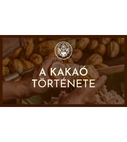 A kakaó története